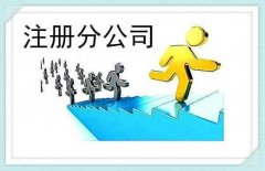 成都分公司注冊需要什么材料？ 