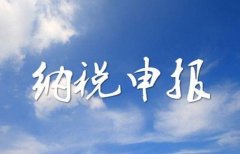 小規模納稅人在進(jìn)行納稅申報時(shí)，有哪些值得注意的事項？ 