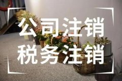 公司注銷(xiāo)要注意什么問(wèn)題？公司注銷(xiāo)要花多少錢(qián)？ 