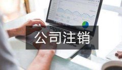 注冊的分公司如何注銷(xiāo)，分公司注銷(xiāo)需要總公司提供什么? 